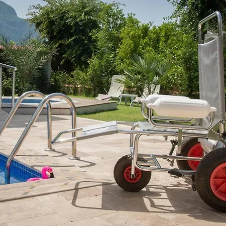 Crescent Twins- Blue 달리안